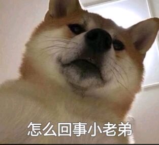 羞涩微信恶搞群聊杂图表情包