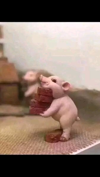 羞涩微信恶搞群聊杂图表情包