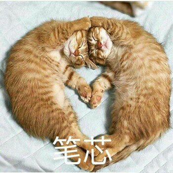 嘤嘤嘤微信恶搞群聊杂图表情包