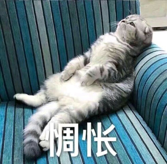 安排微信恶搞群聊杂图表情包