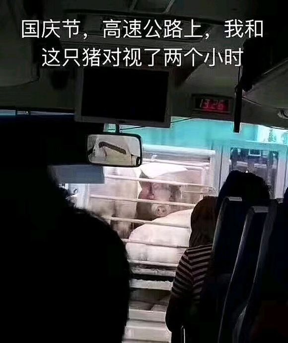 羞涩微信恶搞群聊杂图表情包