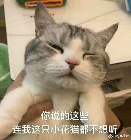 安排微信恶搞群聊杂图表情包