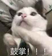 羞涩微信恶搞群聊杂图表情包