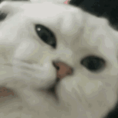 安排微信恶搞群聊杂图表情包