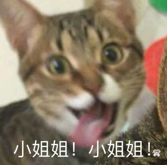 安排微信恶搞群聊杂图表情包