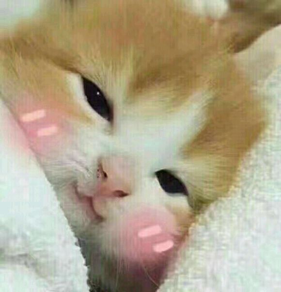 安排微信恶搞群聊杂图表情包