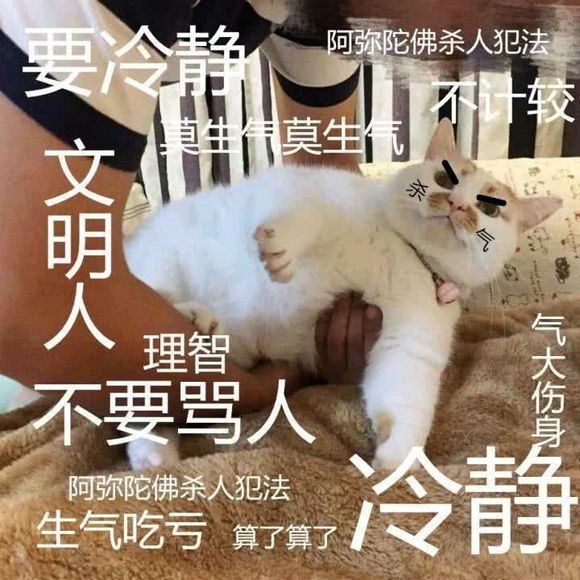 微信近期斗图恶搞表情包2019/6/18（二）