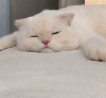 安排微信恶搞群聊杂图表情包