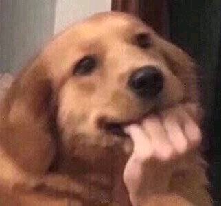 羞涩微信恶搞群聊杂图表情包