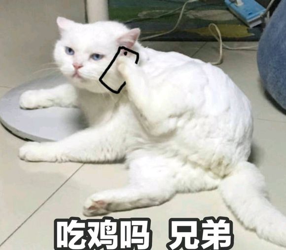 安排微信恶搞群聊杂图表情包