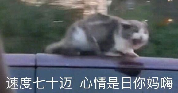 安排微信恶搞群聊杂图表情包