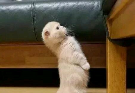 安排微信恶搞群聊杂图表情包