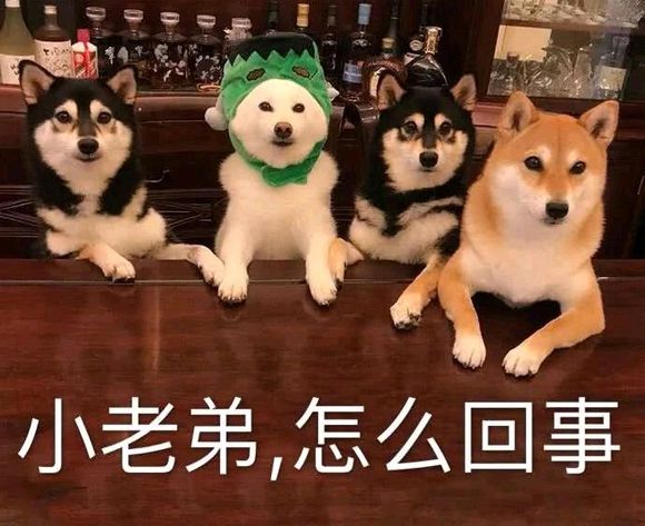 羞涩微信恶搞群聊杂图表情包