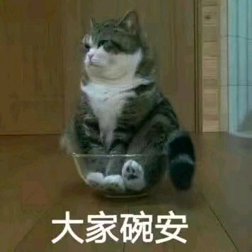 羞涩微信恶搞群聊杂图表情包