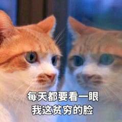 羞涩微信恶搞群聊杂图表情包