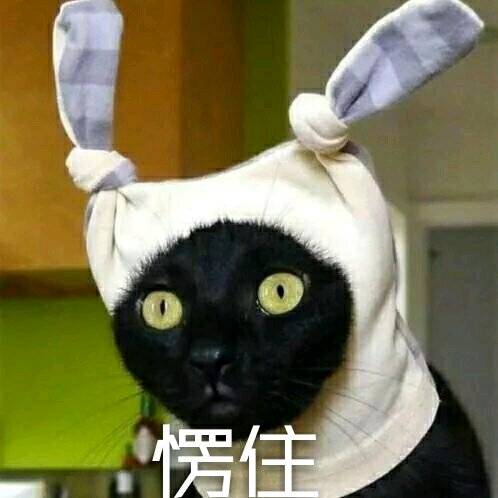 安排微信恶搞群聊杂图表情包