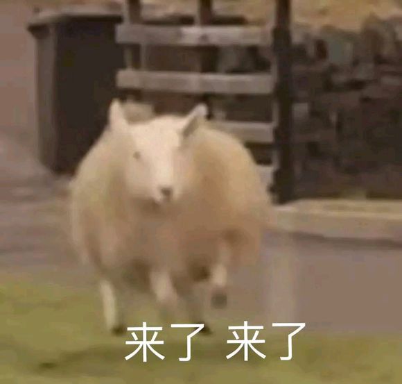 羞涩微信恶搞群聊杂图表情包