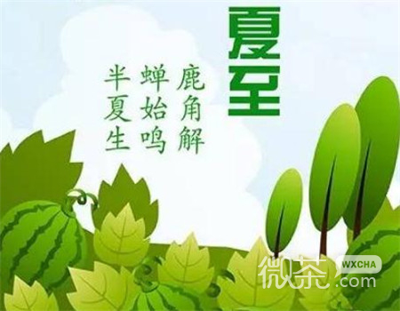 2019微信最新唯美夏至风格图片合集下载