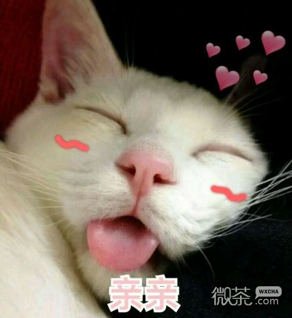 拍桌微信恶搞群聊杂图表情包