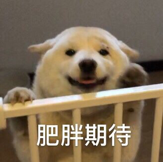 微信近期斗图恶搞表情包2019/6/19