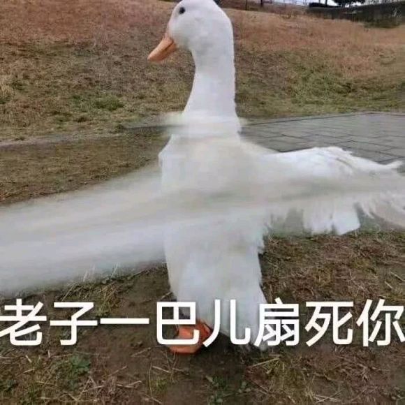 真狠啊微信恶搞群聊杂图表情包