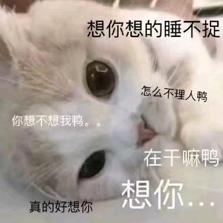 愚蠢微信恶搞群聊杂图表情包