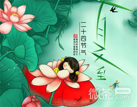 2019微信最新唯美夏至风格图片合集下载