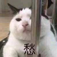 醒醒微信恶搞群聊杂图表情包