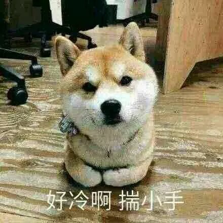 拍桌微信恶搞群聊杂图表情包