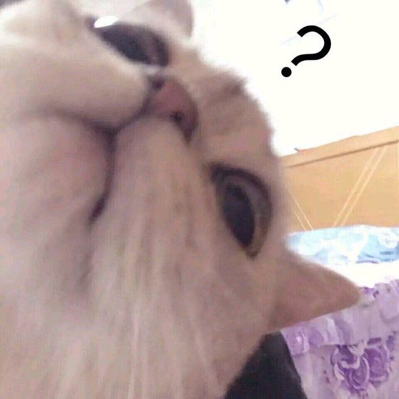 真狠啊微信恶搞群聊杂图表情包