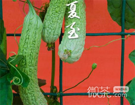 2019微信最新唯美夏至风格图片合集下载