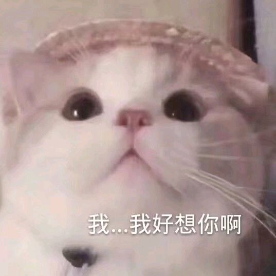 真狠啊微信恶搞群聊杂图表情包