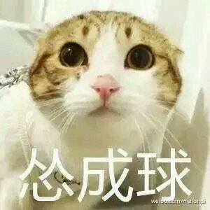 微信近期斗图恶搞表情包2019/6/19
