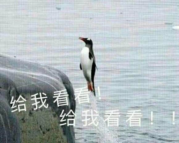 真狠啊微信恶搞群聊杂图表情包