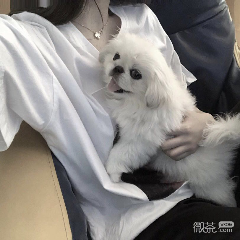 森系清纯微信女头