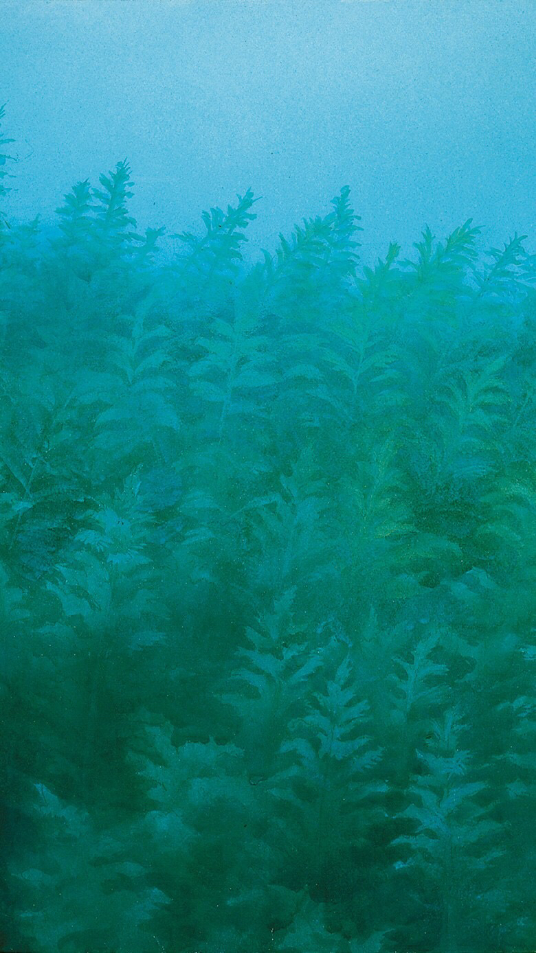 简约卡通风景手机壁纸