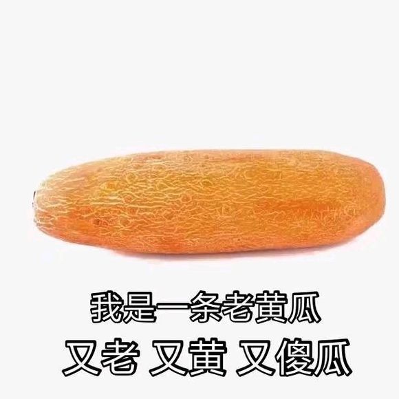 真狠啊微信恶搞群聊杂图表情包