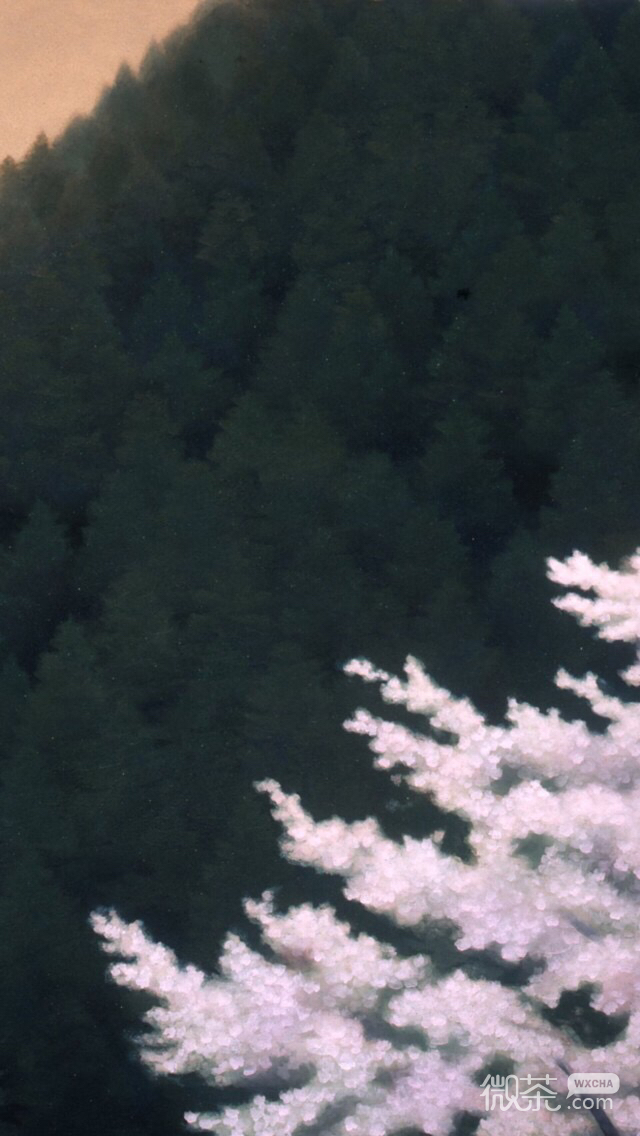 唯美森系手机壁纸