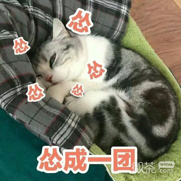 忍住不哭微信恶搞群聊杂图表情包
