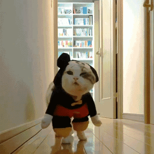 兴奋微信恶搞群聊杂图表情包