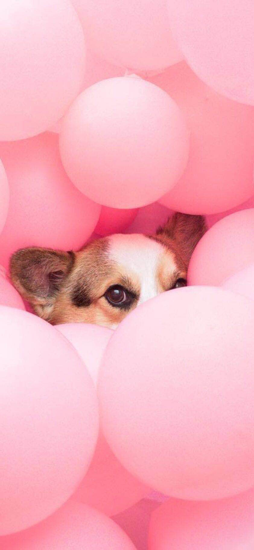 清新简洁唯美风景手机壁纸