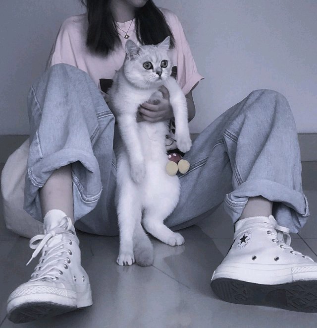 2019微信最新最潮的时尚紫色系女生头像合集下载