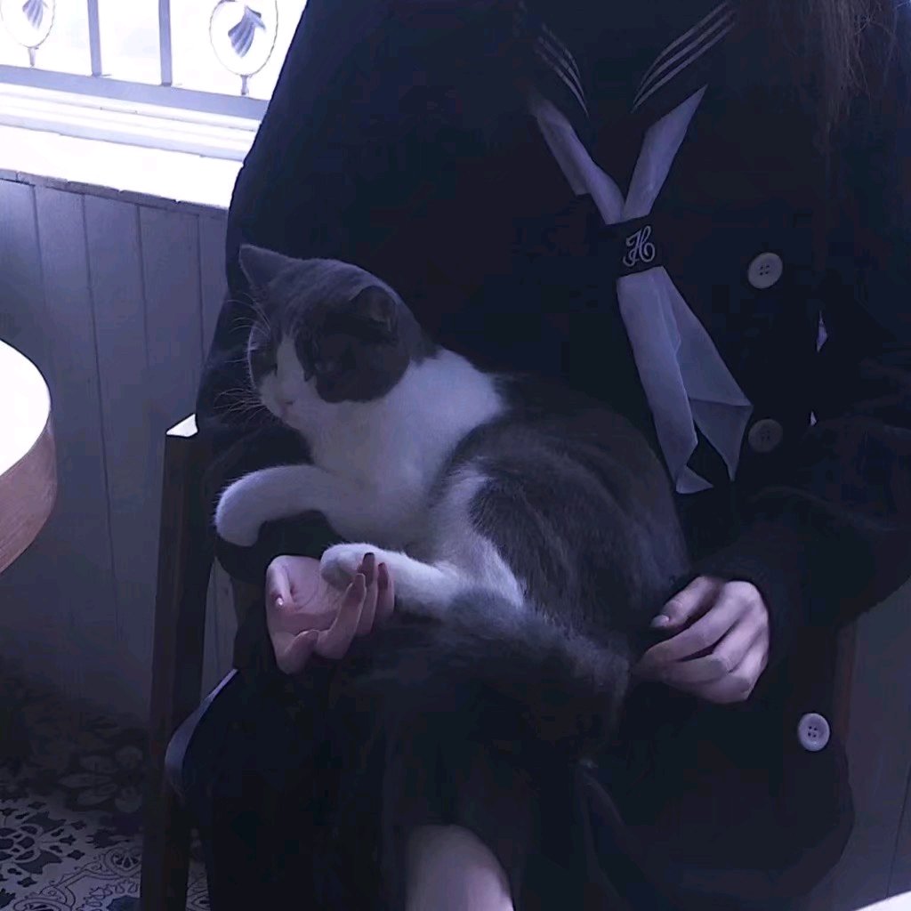 2019微信最新最潮的时尚紫色系女生头像合集下载