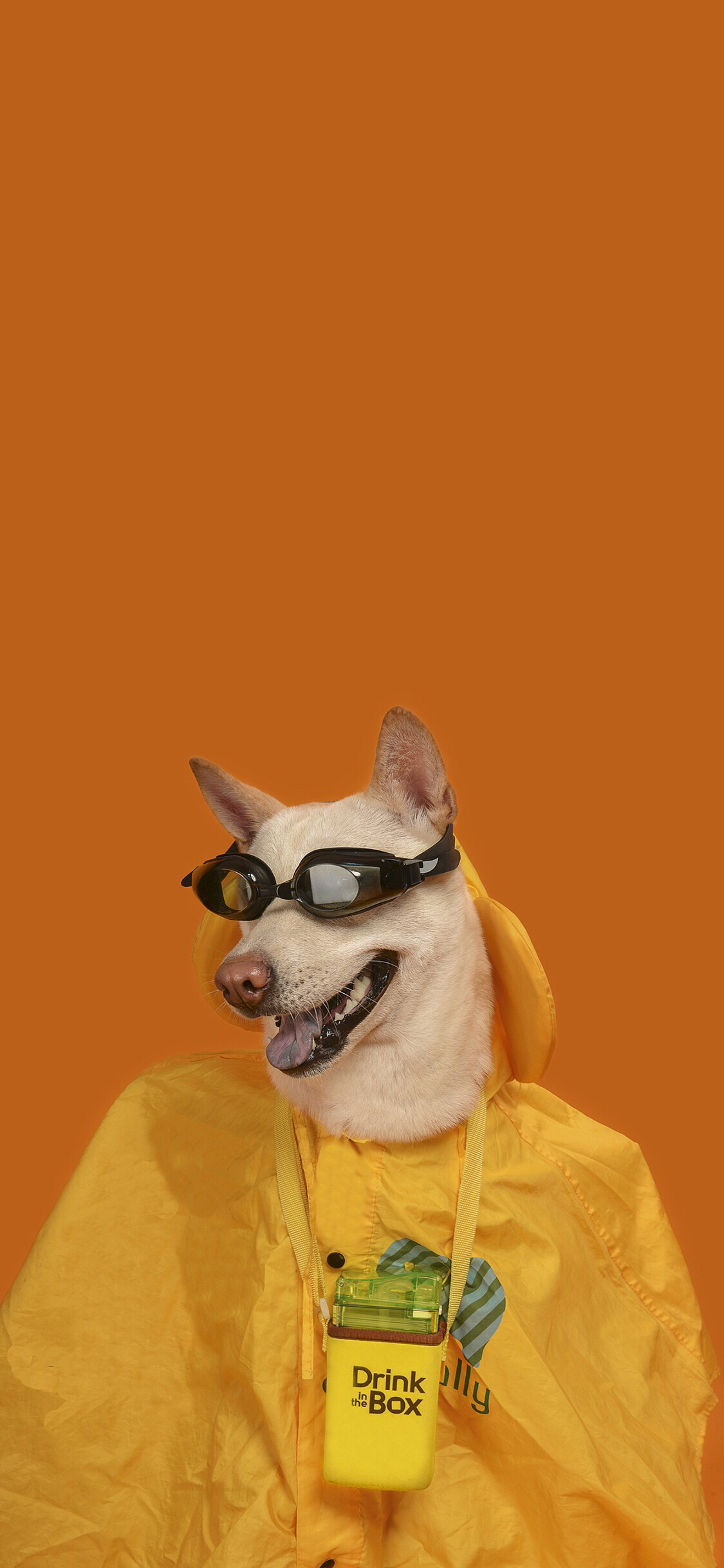 好看个性迷彩手机壁纸