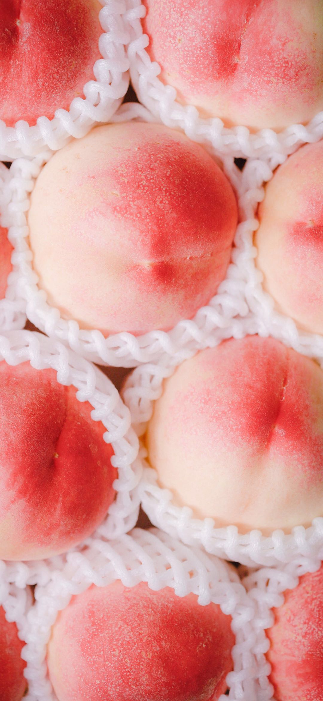 清新简洁唯美风景手机壁纸