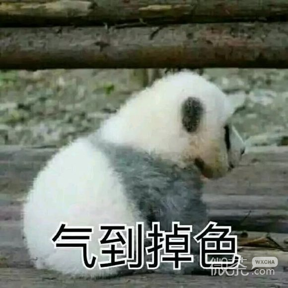 忍住不哭微信恶搞群聊杂图表情包