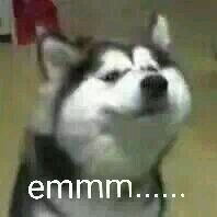 兴奋微信恶搞群聊杂图表情包