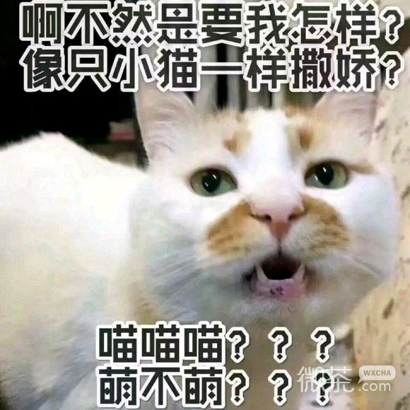 俏皮可爱的套路狗蘑菇头微信表情包合集下载