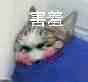 紧张恶搞群聊杂图微信表情包