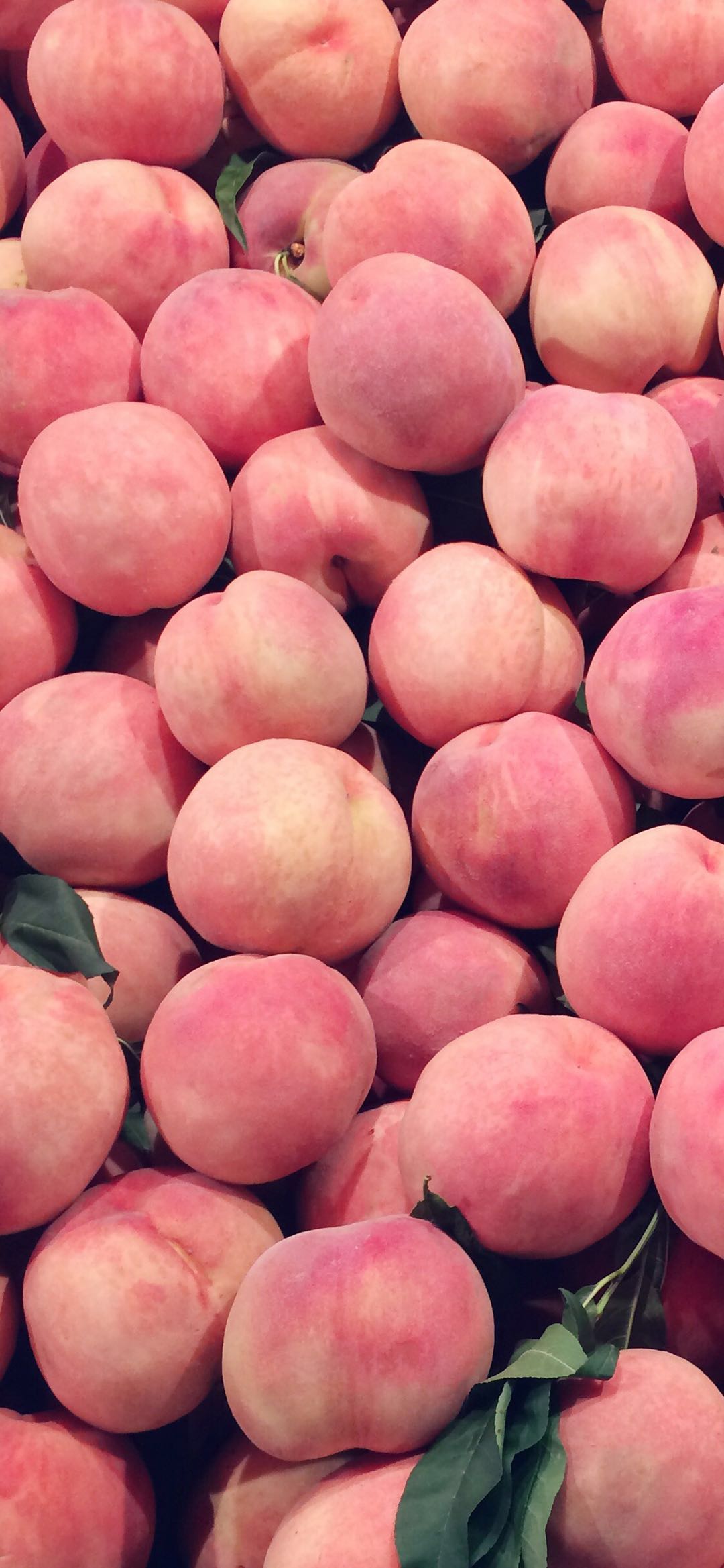 清新简洁唯美风景手机壁纸